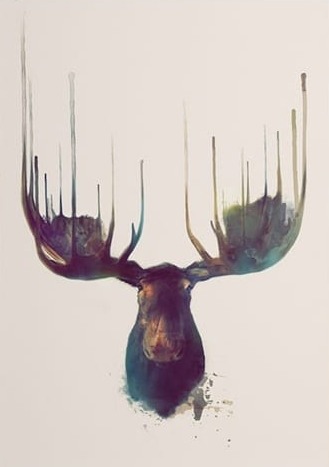 Moose