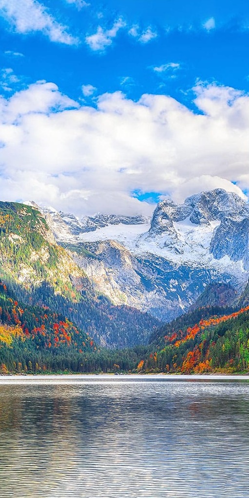 Nehir Renkli Ağaçlar Karlıdağlar Panoramik