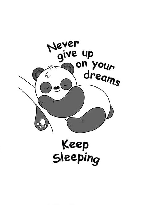Panda Asla Vazgeçme