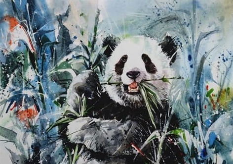 Panda Suluboya
