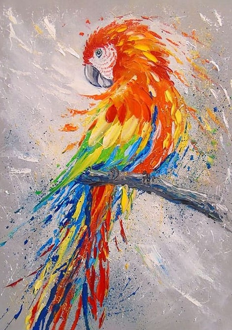 Kuş Tabloları