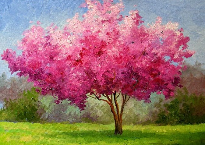 Pembe Ağaç