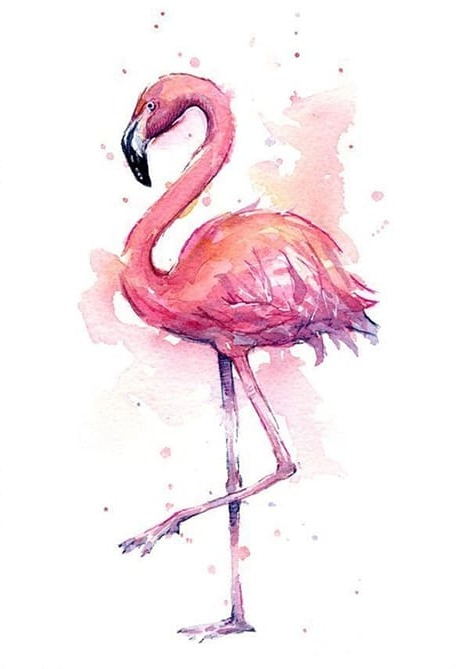 Pembe Flamingo