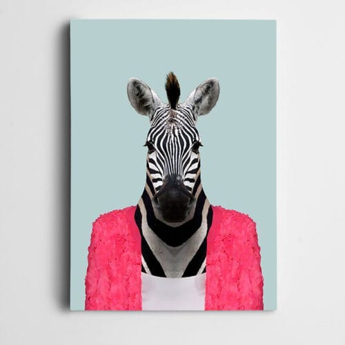 Pembe Hırkalı Zebra