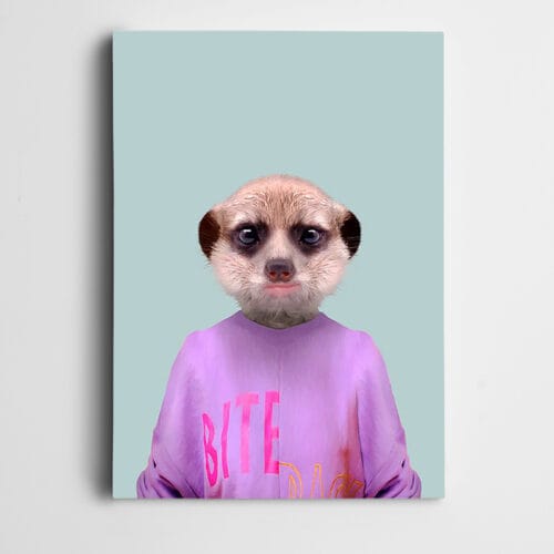 Pembe Üstlü Mirket