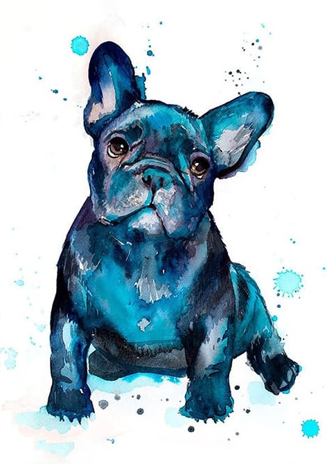 Pug Tablosu