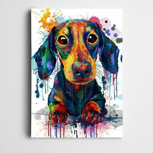 Renkler Köpek