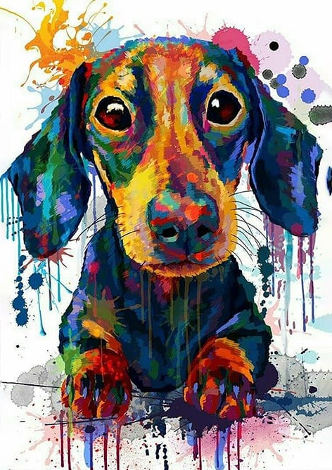 Renkler Köpek