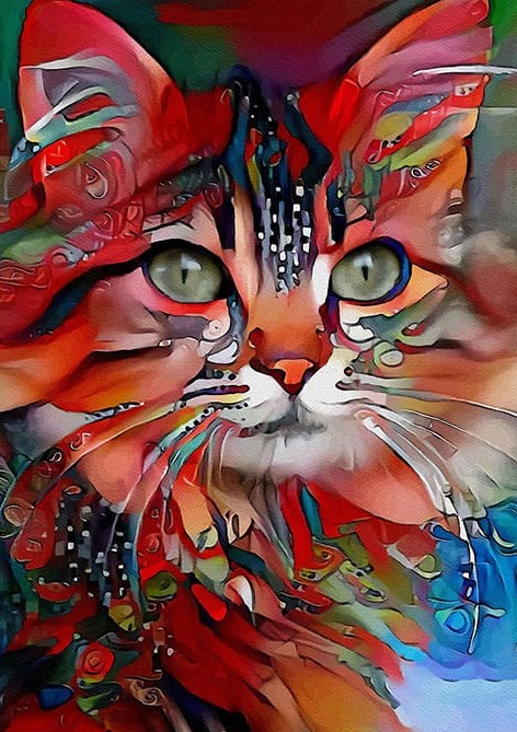 Renkler ve Kedi