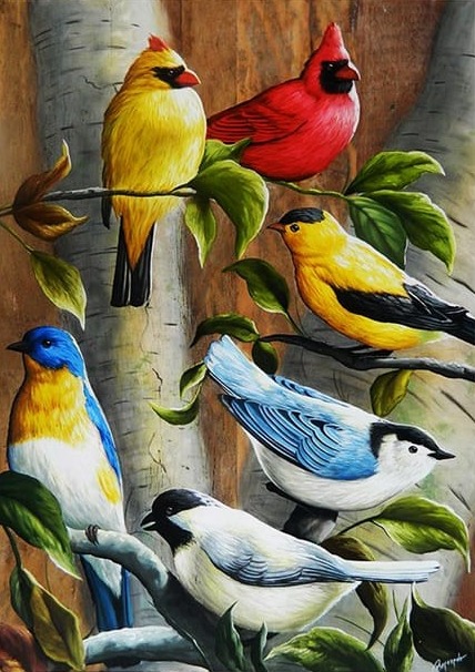 Renkler Kuşlar Modern Sanat