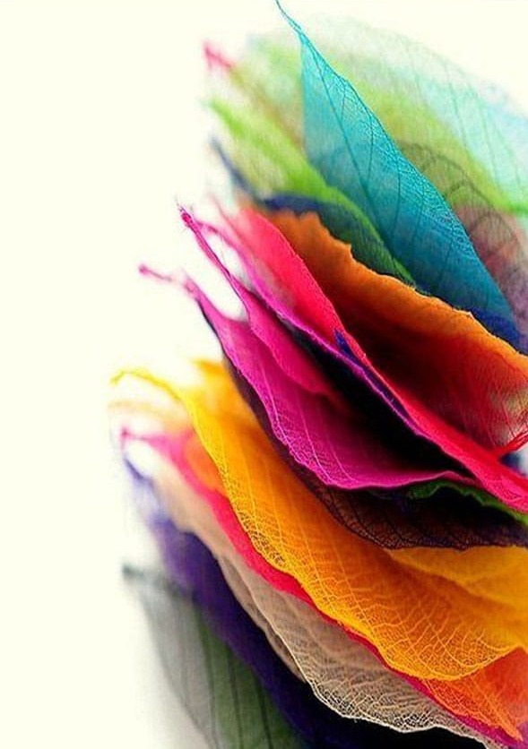 Beyaz Fonda Renkli Yapraklar Modern Sanat