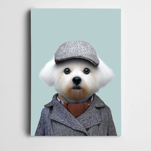 Şapkalı Şirin Köpek