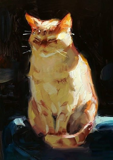 Sarı Kedi