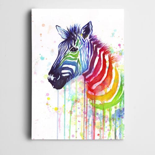 Zebra Renkler