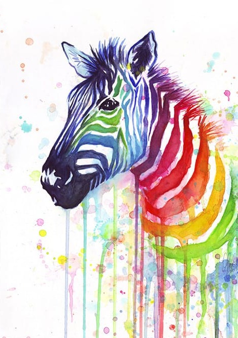 Zebra Renkler