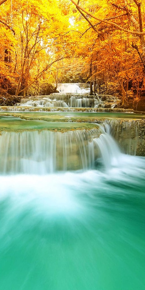 Şelale Sarı Ağaçlar Panoramik