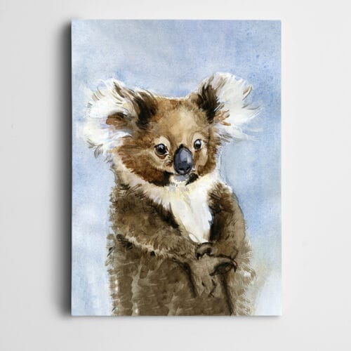 Sevimli Koala