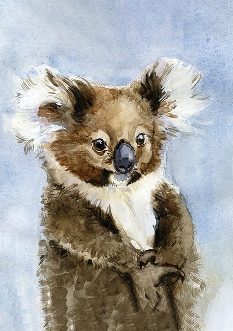 Sevimli Koala