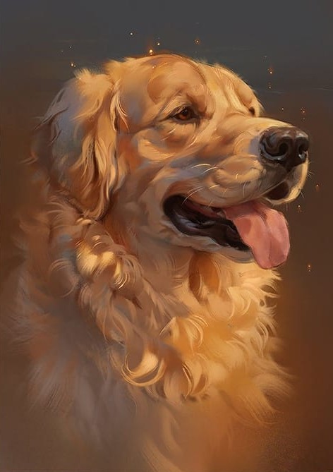 Sevimli Köpek