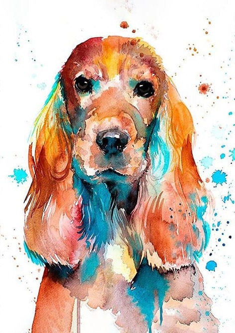 Sevimli Köpek
