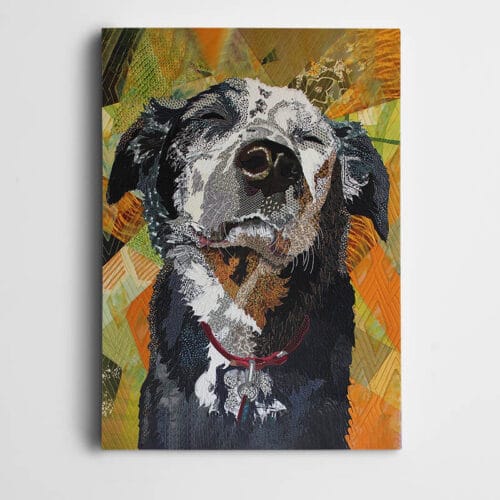 Sevimli Köpek