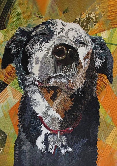 Sevimli Köpek