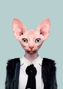 Kedi Tabloları