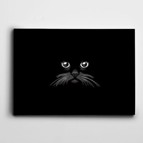 Siyah Kedi