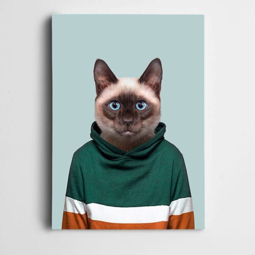 Sweatlı Kedi