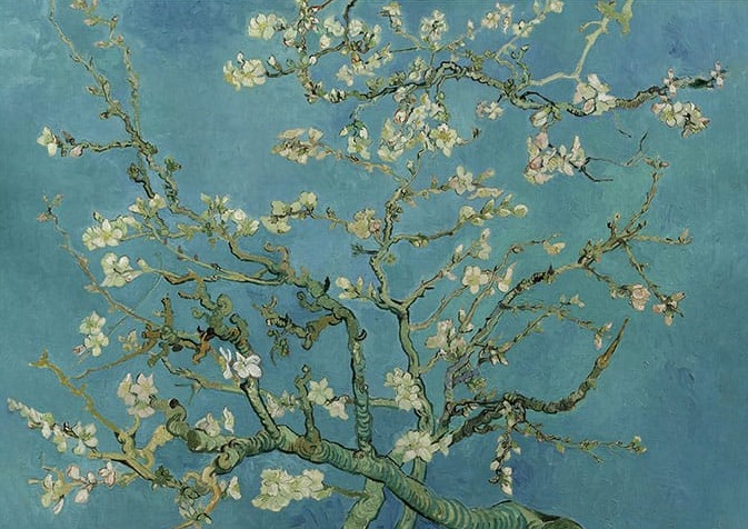 Vincent Van Gogh Almond Blossom