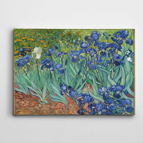 Vincent Van Gogh İrises