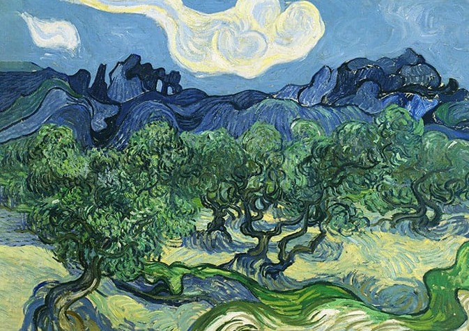 Vincent Van Gogh Olive Trees