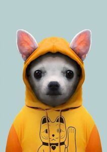 Yavru Köpek Tablosu
