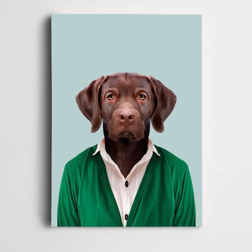 Yeşil Üstlü Köpek