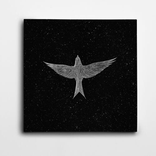 Yıldızlar Arasında Uçan Kuş Minimal Kare