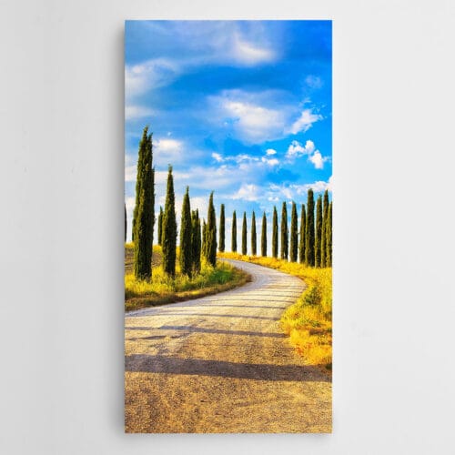 Yol Ağaçlar Gökyüzü