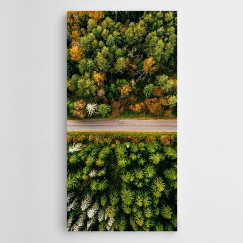 Yol Ağaçlar Panoramik