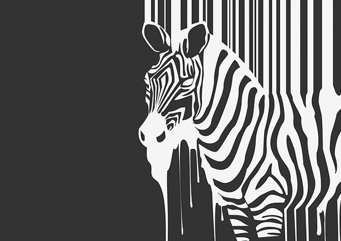 Zebra Çizimi
