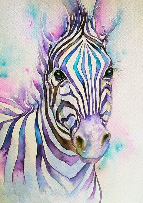 Zebra Suluboya