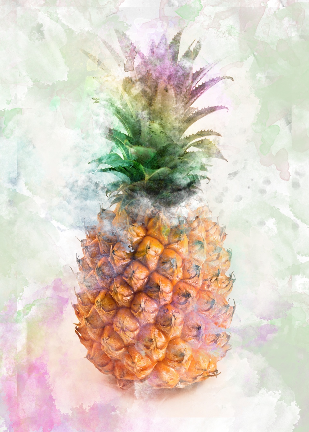 Ananas Çizim Renkler Tablo