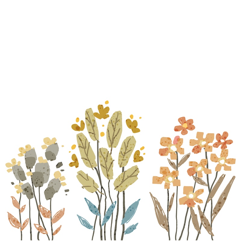 Beyaz Zemin Kuru Otlar Suluboya Botanik Tablosu