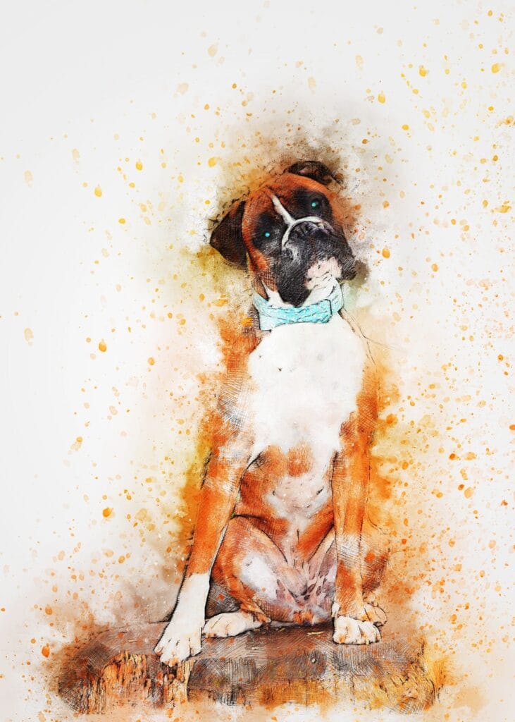 Boksör Köpeğinin Suluboya Tablosu - kanvas ve cam tablo | Dekolata