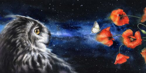 Çiçeğe Bakan Kedi