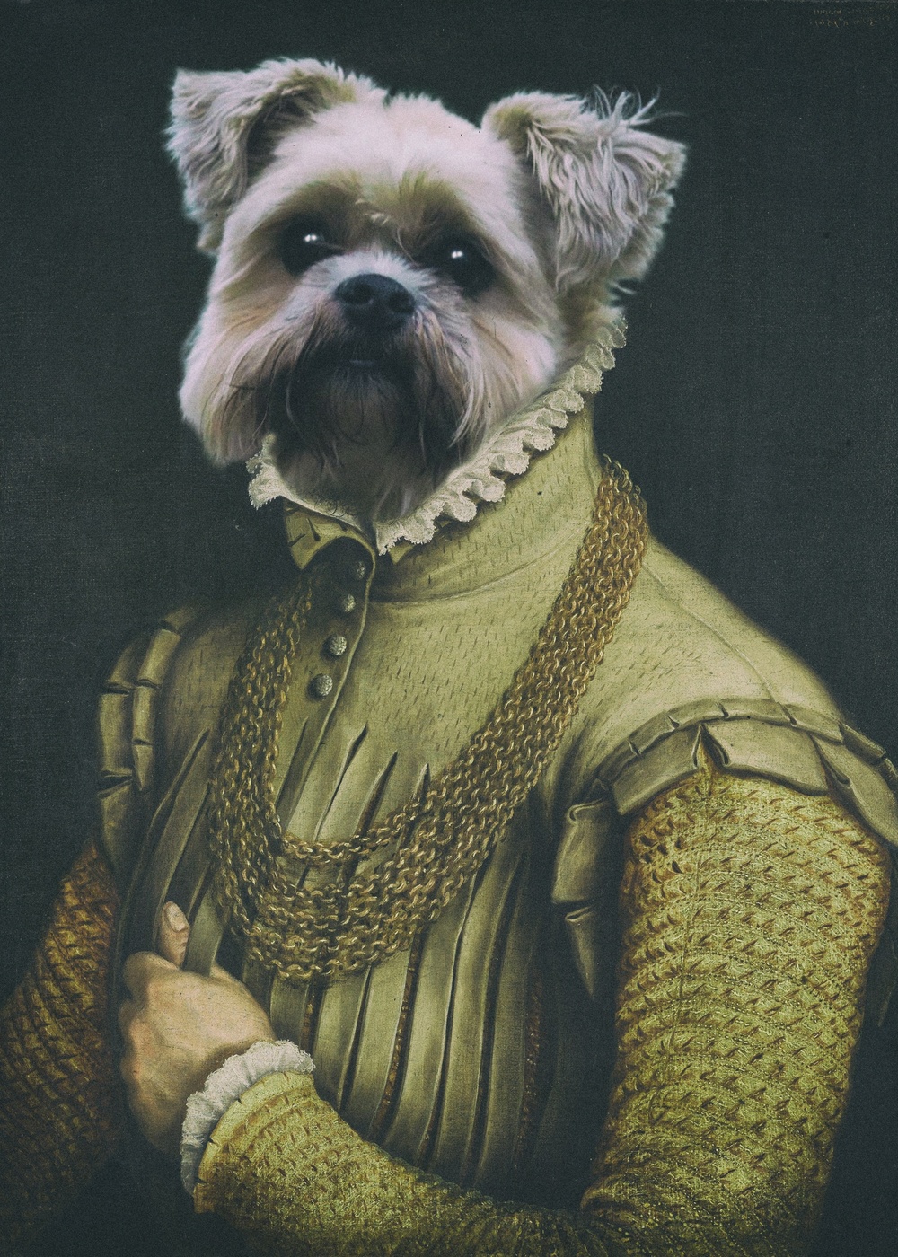 Elbise Giyen Köpek
