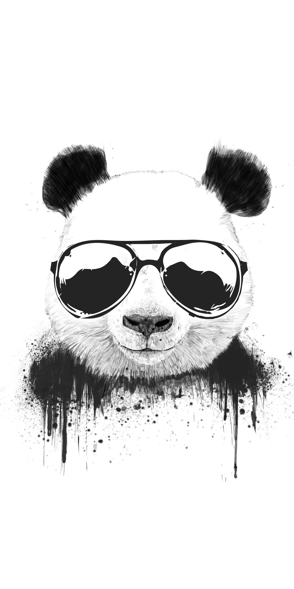 Güneş Gözlüğü Takan Siyah Beyaz Panda Ayısı