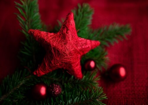 Kırmızı Yıldız Cami Dalları Noel Tablosu