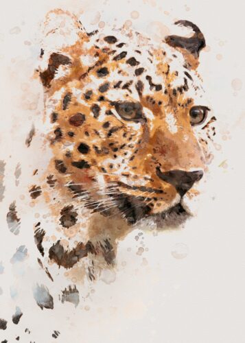 Leoparın Kafasının Suluboya
