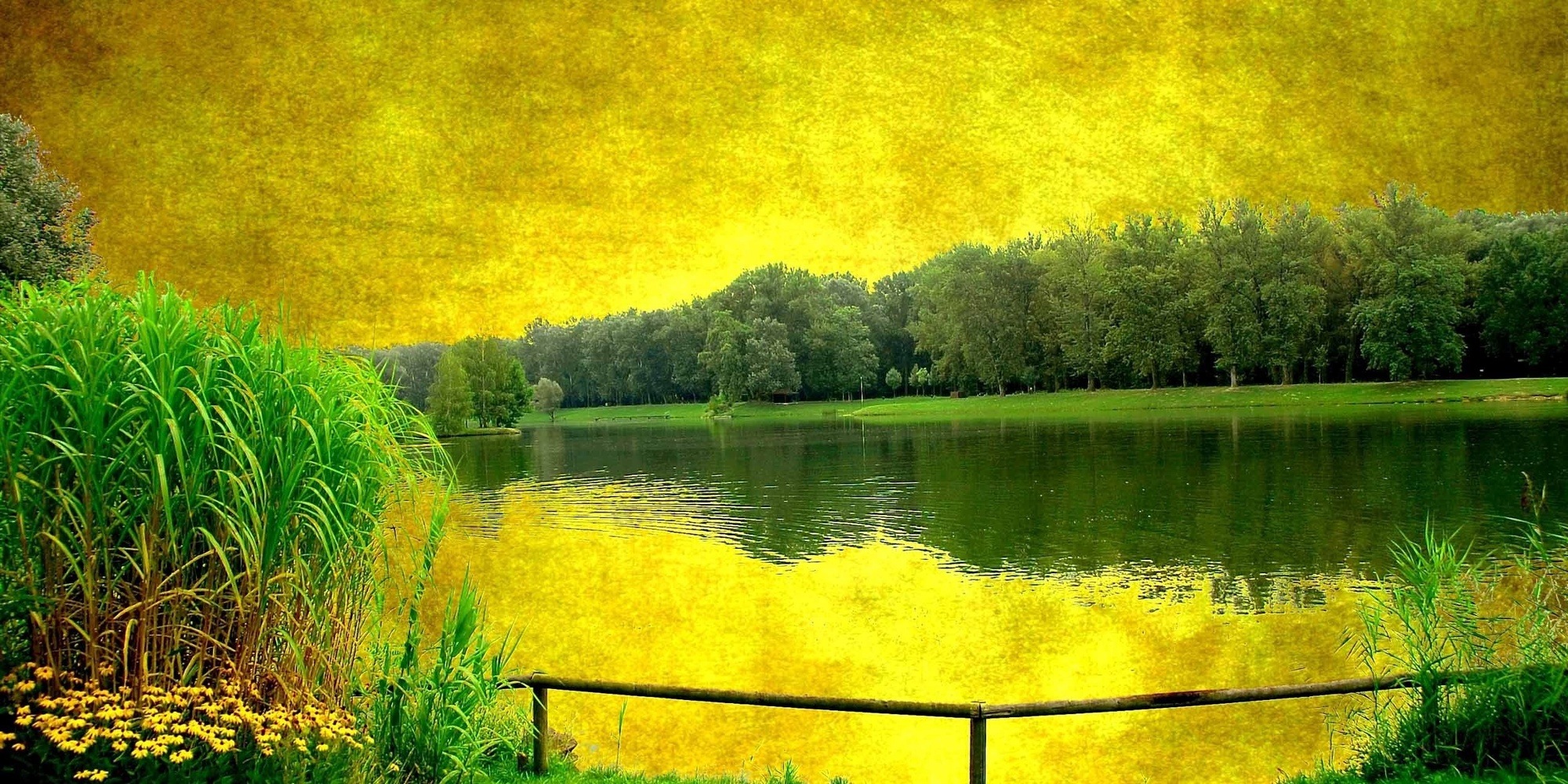 Parkın Ortasında Gölet