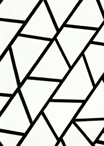 Siyah Beyaz Çizgisel Geometrik Tablo