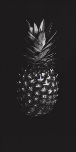 Siyah Zemin Ananas Fotoğrafı Tablosu